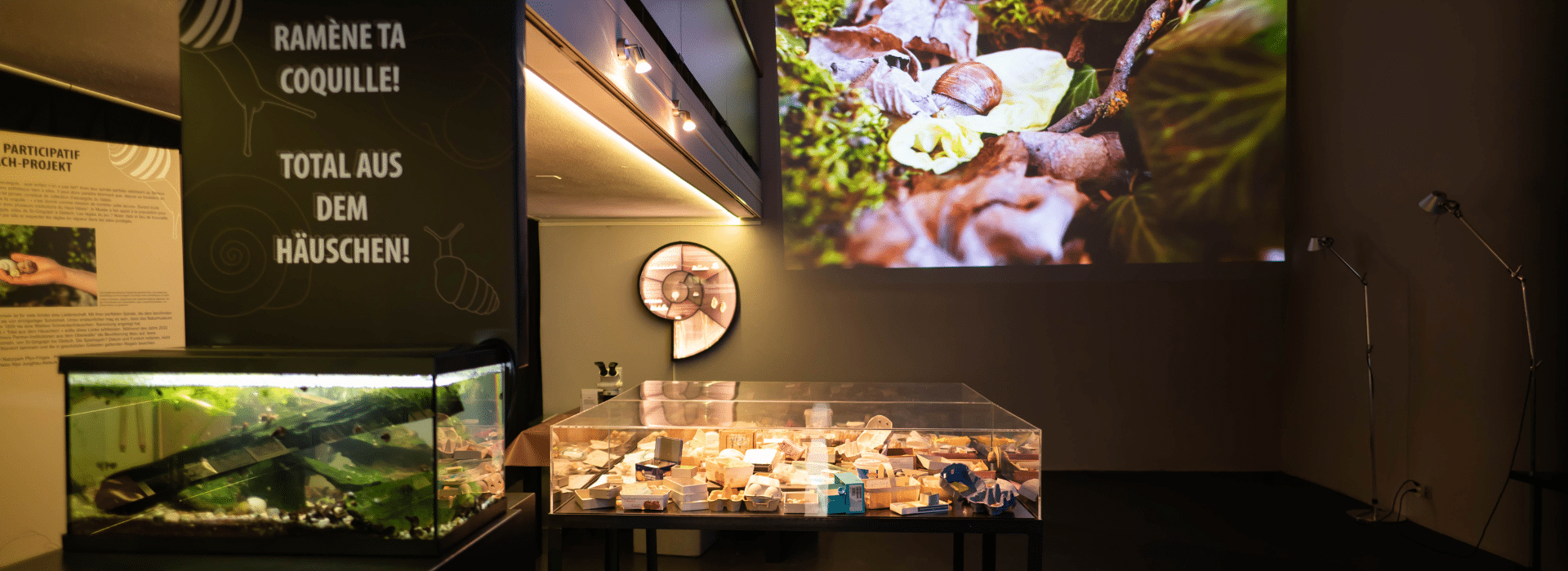 Ramène ta coquille © Musées cantonaux du Valais, Sion. Photo : Colin Sauthier