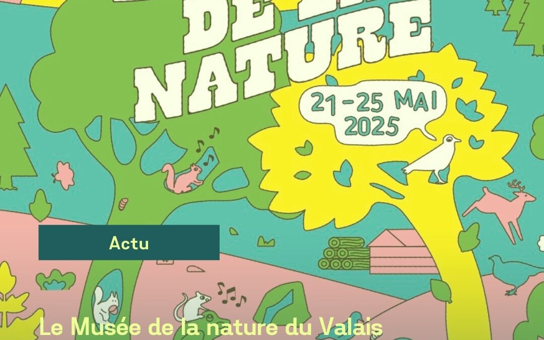 Actu