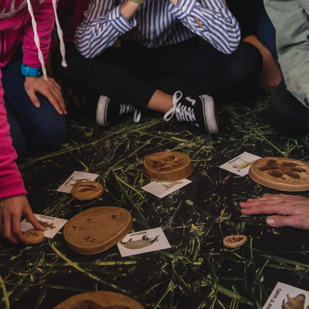 Musée de la nature du Valais