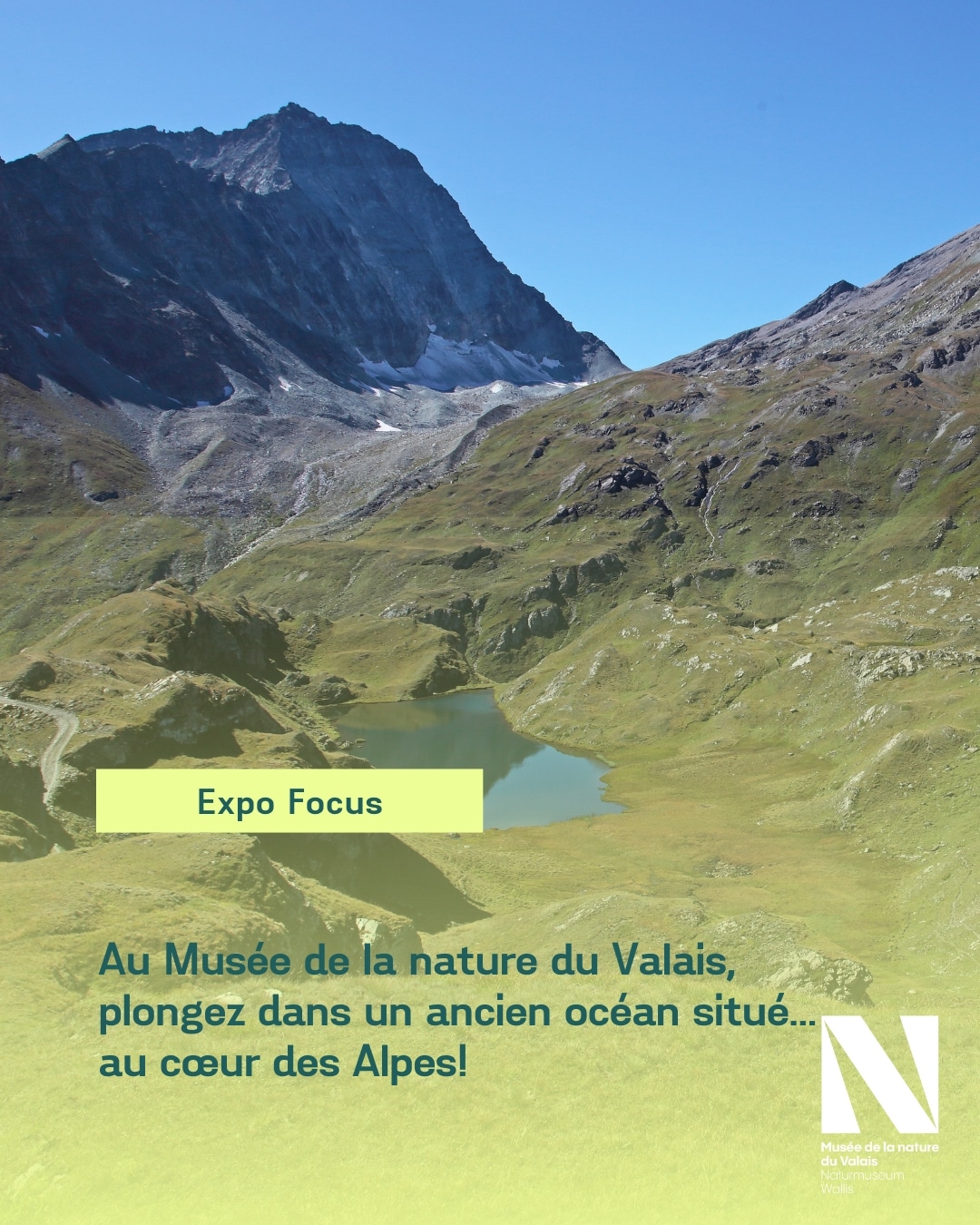 Dans 1 mois : Le Musée de la nature du Valais vous propose un voyage extraordinaire au cœur d'un ancien océan situé...au cœur des Alpes! Avec sa nouvelle Expo Focus intitulée «Océan au sommet», le musée vous propose de plonger au cœur des profondeurs de cet ancien océan et de découvrir pourquoi et comment la rive gauche du Valais abrite une telle diversité de roches issues de ce lointain passé océanique. A voir dès le 11 octobre 2025. 🟢Vernissage public : 10 octobre 2025🟢 Les Expos Focus du Musée de la nature du Valais mettent en valeur des objets issus des réserves de la collection qu’ils soient anciens, nouvellement acquis ou liés à des travaux scientifiques en cours. Alors que les expositions permanentes présentent généralement les pièces les plus emblématiques du musée, les objets conservés en réserve n’en sont pas moins intéressants. Pour en savoir plus sur l'exposition : https://musee-nature-valais.ch/exposition-nature/expo-focus/ 📸 Mont Gelé Fenêtre de Durand, Valais © Musées cantonaux du Valais, Sion. Stefan Ansermet #museescantonauxduvalais #museedelanatureduvalais